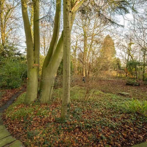 Hoofdweg 249 PATERSWOLDE