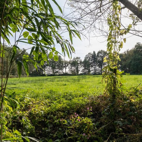 Hooiweg 4 LUCASWOLDE
