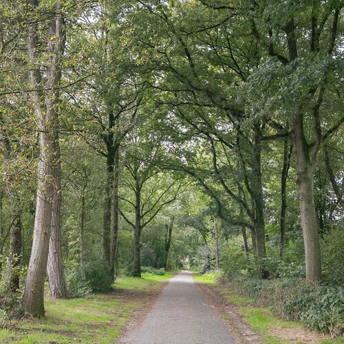 Houtwallen 3 VRIES