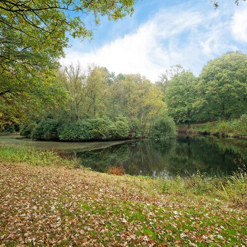 De Fledders 40 VRIES