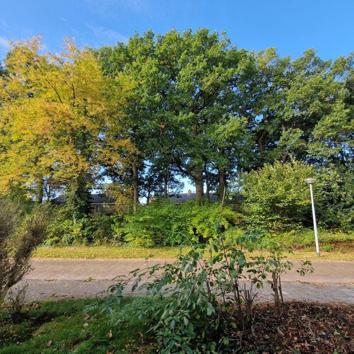 Hooiweg 93 EELDE