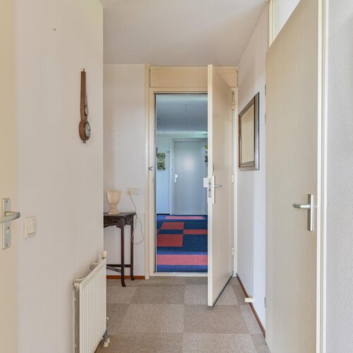 Steigermesschen 18 ASSEN
