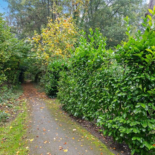 De Fledders 40 VRIES