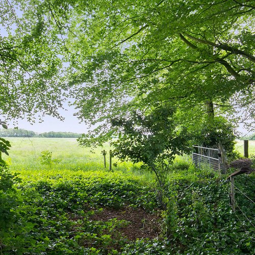 Hoofdweg 22 A LANGELO