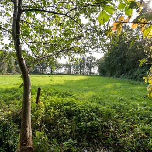 Hooiweg 4 LUCASWOLDE