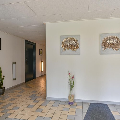 Steigermesschen 18 ASSEN