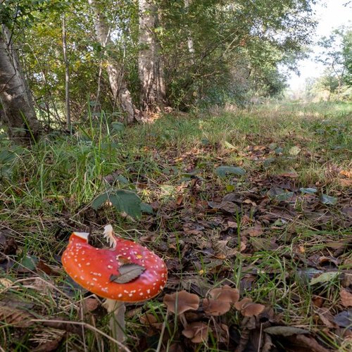 Hooiweg 4 LUCASWOLDE