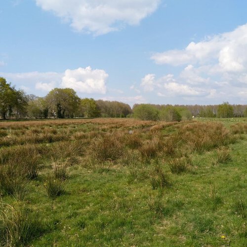 Steigermesschen 18 ASSEN