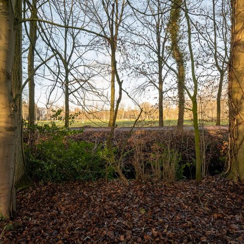 Hoofdweg 249 PATERSWOLDE