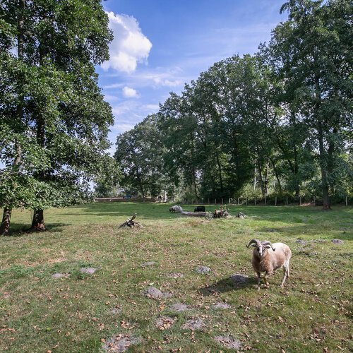 Balloerveld 4 BALLOERVELD