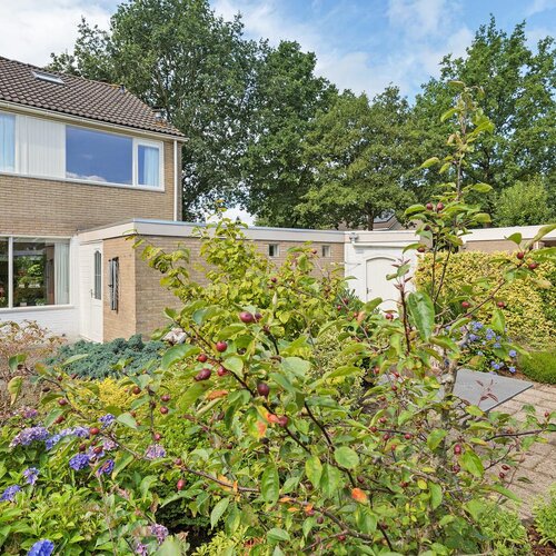 Lingestraat 1 ASSEN