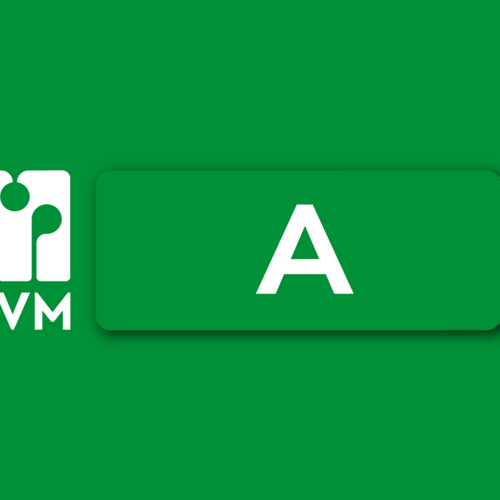 De Fledders 40 VRIES