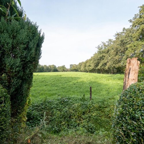 Hooiweg 4 LUCASWOLDE