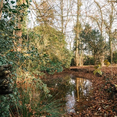 Hoofdweg 249 PATERSWOLDE