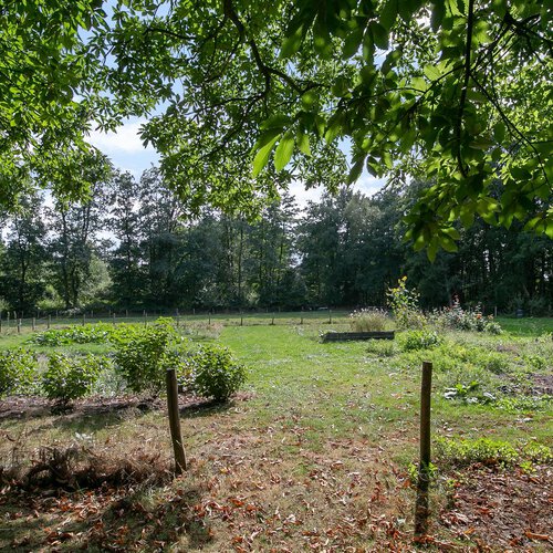 Balloerveld 4 BALLOERVELD