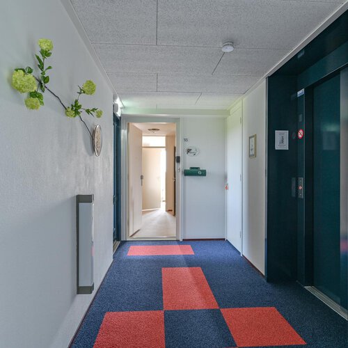 Steigermesschen 18 ASSEN