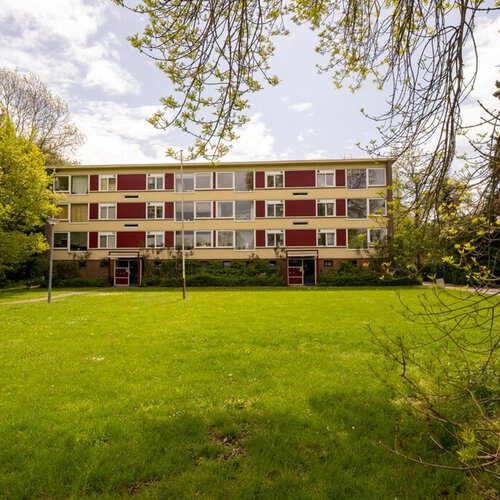 Oude Brinkweg 77 HAREN GN
