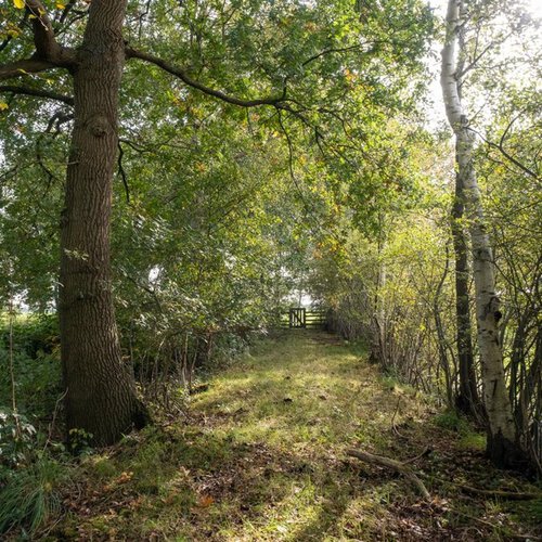 Hooiweg 4 LUCASWOLDE