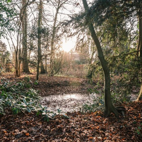 Hoofdweg 249 PATERSWOLDE