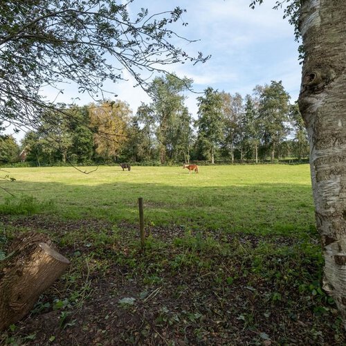 Hooiweg 4 LUCASWOLDE